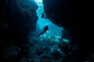 Encore un titre au challenge de photographie sous-marine !