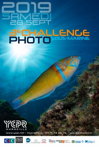 3ème Challenge Photo sous-marine le samedi 28 septembre