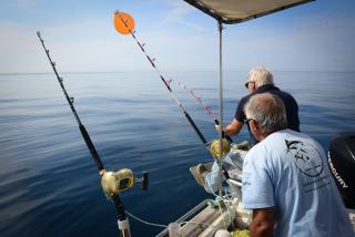 Une 6ème Massilia Tuna Cup réussie !