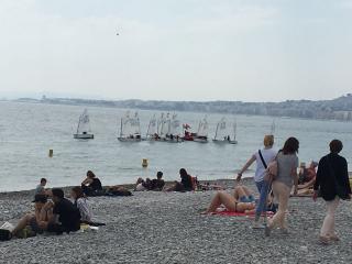 Arthur et Côme de la Team Opti en stage aux côtés des géants des mers