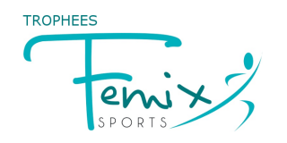 À vous de voter ! Corinne Aubert et Ingrid Petitjean nominées au trophée Femix'Sports