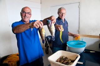 Dimanche 1er juin : concours de pêche à soutenir bateau (sélectif)