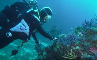 Soyons Zen grâce à la plongée sous-marine !