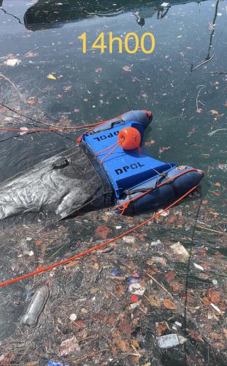 L'YCPR engagé contre la pollution marine - Environnement