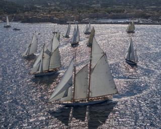 L'YCPR impressionne lors des Voiles de Saint-Tropez 