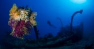 Encore un titre au challenge de photographie sous-marine !