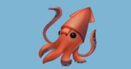 ANNULÉ - Duo Calamars samedi 23 novembre