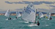 Résultats d'une interlique Optimist très très ventée !