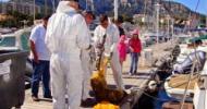 Samedi 10 octobre : Clean Port