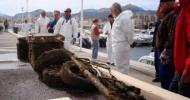 Samedi 24 mai : Clean port