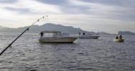 Sortie 'bonites' le samedi 15 octobre pour les amateurs de pêche !
