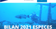 Sortie du bilan 2021 ESPECES QUI COMPTENT - FFESSM