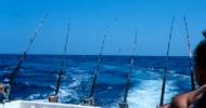 Sortie 'Moules en mer'