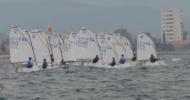 Stage et régate à Antibes ? Opti Ligue