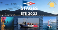 STAGES D'ÉTÉ - Voile, pêche et plongée