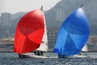 MIMR 2009