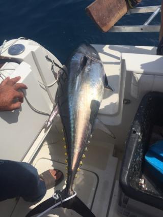 NIMBA Champion de France de pêche au gros 