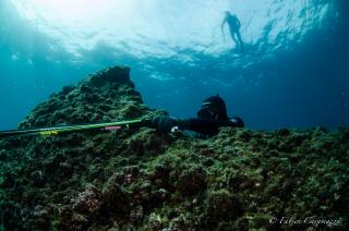 Sortie chasse sous-marine samedi 7 avril