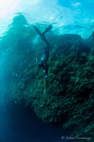 Sortie chasse sous-marine samedi 7 avril