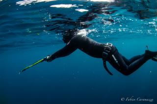 Sortie chasse sous-marine samedi 7 avril