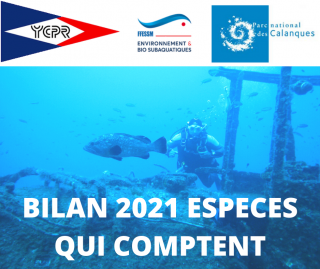 Sortie du bilan 2021 ESPECES QUI COMPTENT - FFESSM