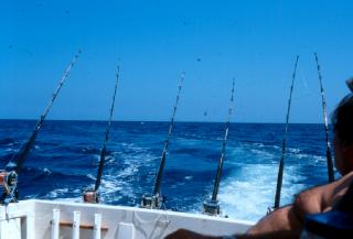 Sortie 'Moules en mer'
