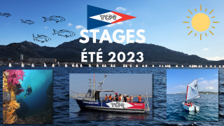 STAGES D'ÉTÉ - Voile, pêche et plongée