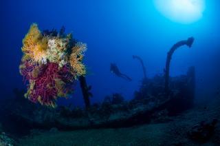 Vendredi 10 février : conférence sur les épaves en Méditerranée